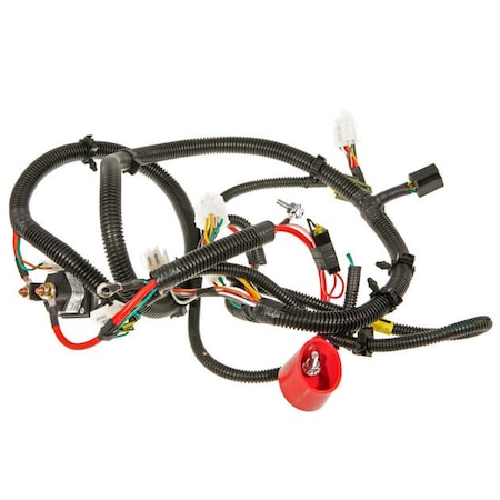 Mtd Harness-Main E-Pt 725P06722A